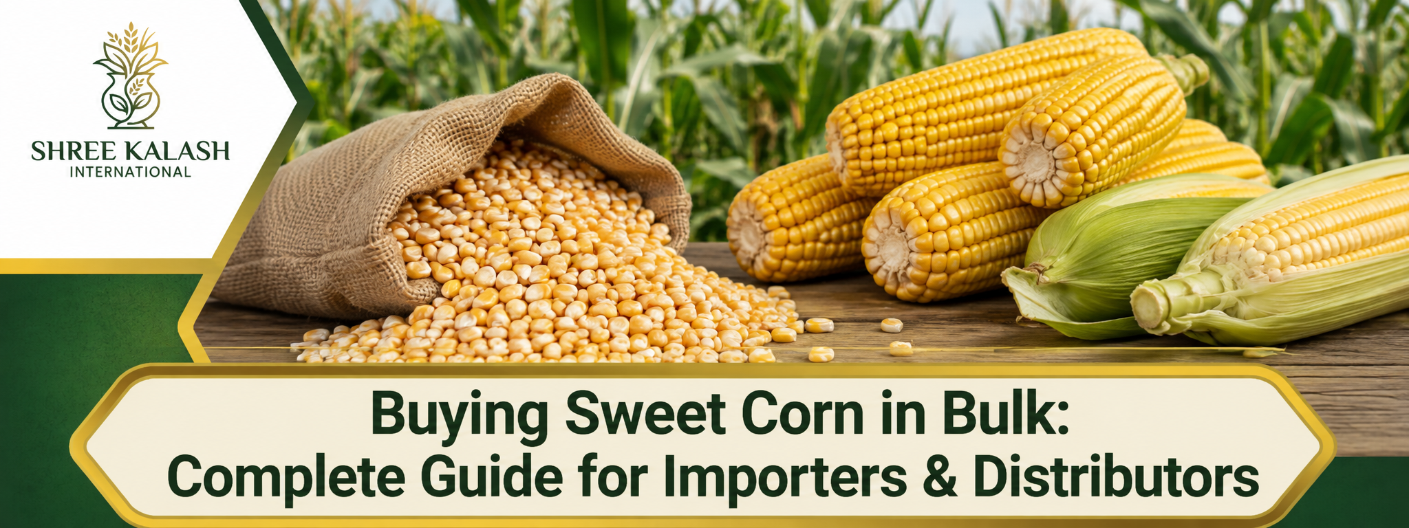 Buying Sweet Corn in Bulk: Complete Guide for Importers & Distributors